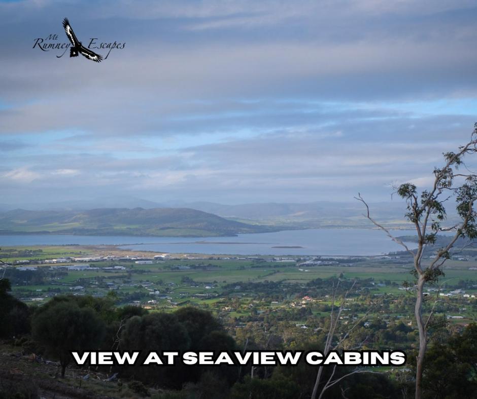 Mount Rumney Escapes - Platypus Cabin Buitenkant foto