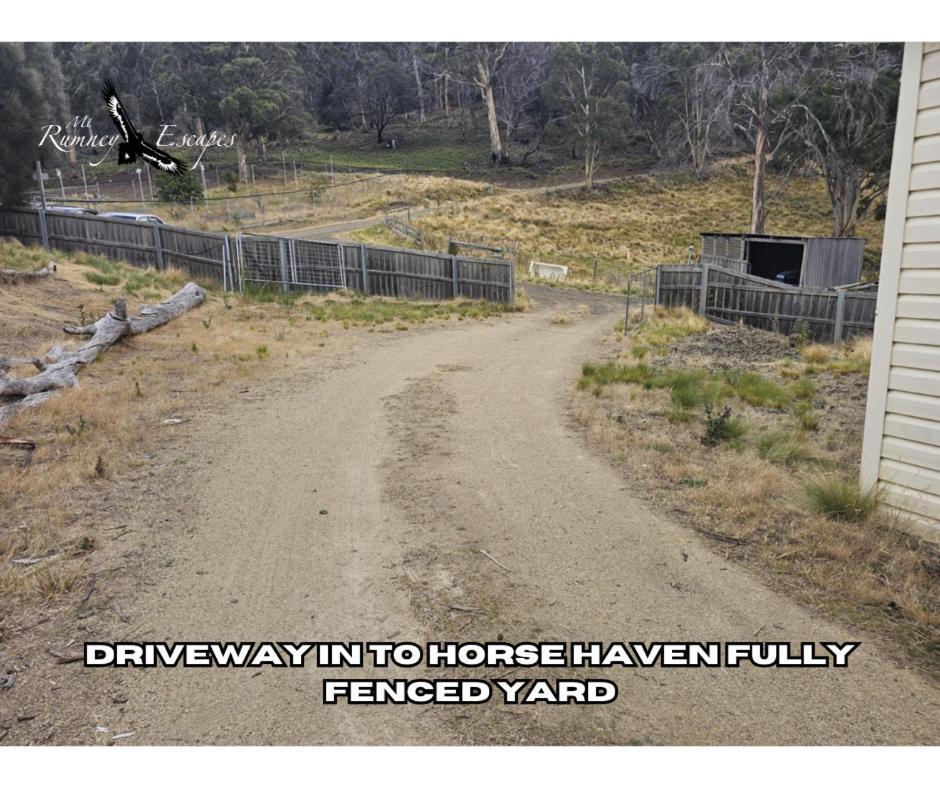 Mount Rumney Escapes - Platypus Cabin Buitenkant foto