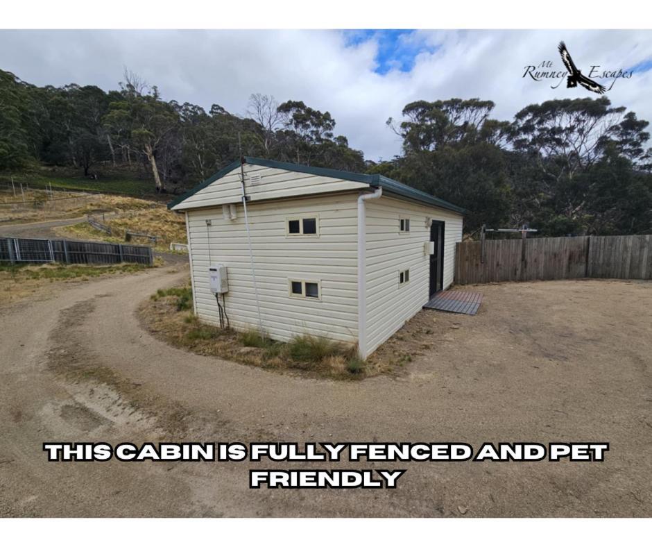 Mount Rumney Escapes - Platypus Cabin Buitenkant foto